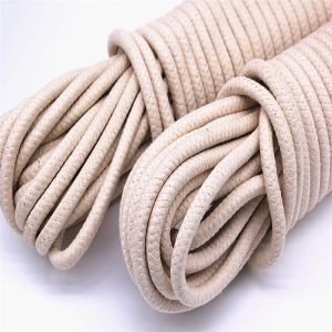 Plana bombacio spinalis